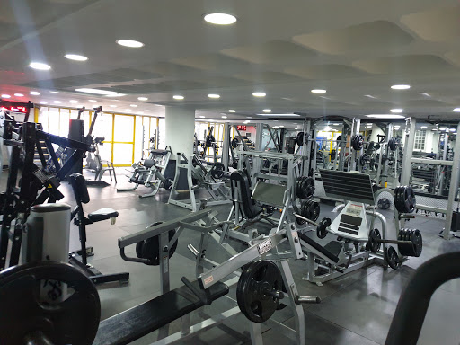 Ox Gym