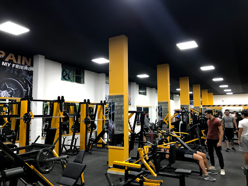 Body Force Gym