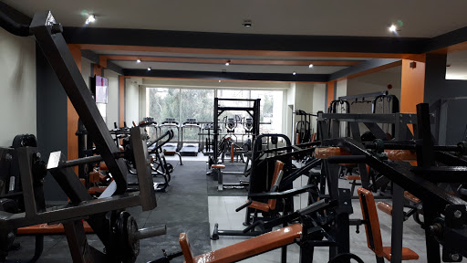 Fitness and beyond