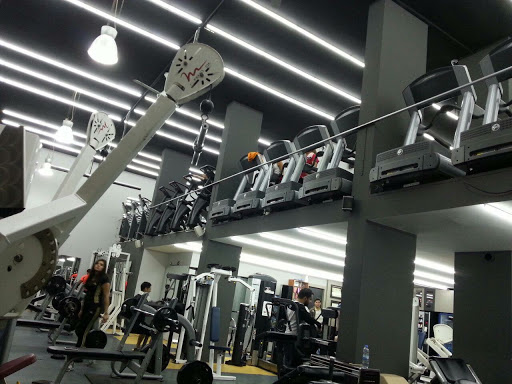 Speed Fitness