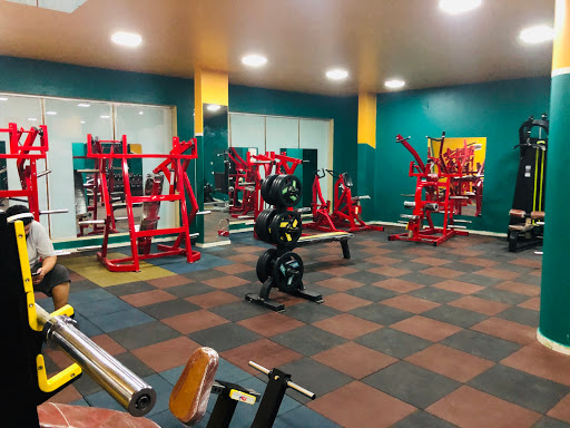 Top Gym