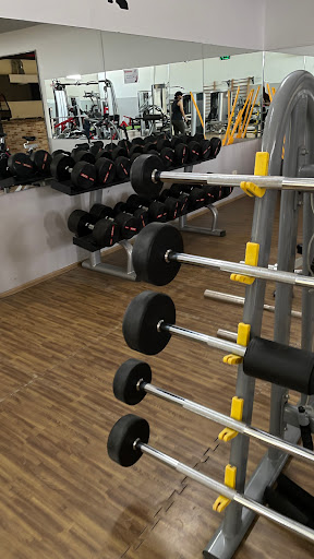 BODY STATION
