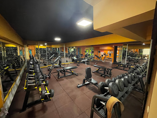 BODY FITNESS CLUB MAROCAINE DES SPORTS-