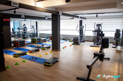 Hydrogym