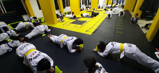 Legend of taekwondo team SAIN-
