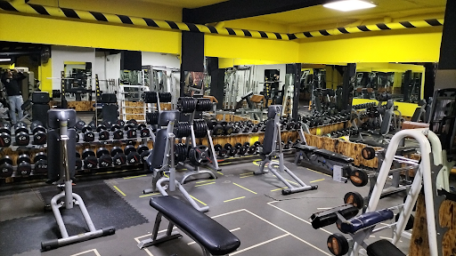 Oxygen GYM & Nutrition