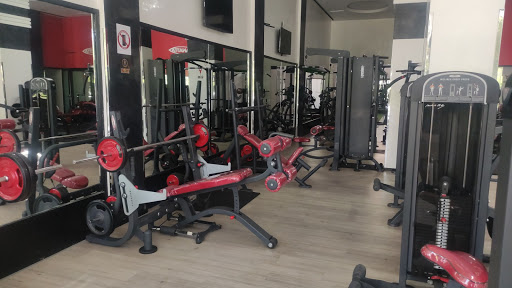 Y GYM