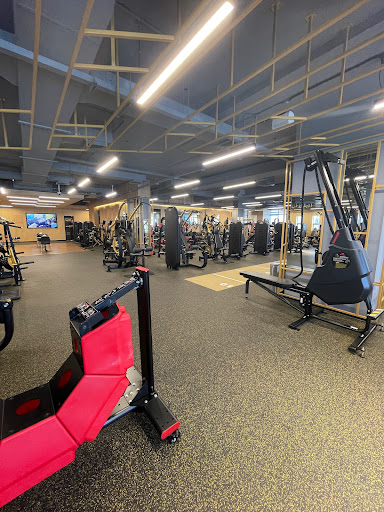 The One Gym