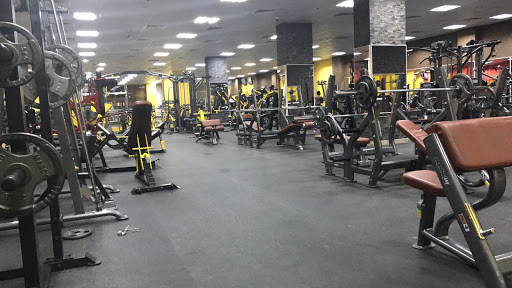 Flex Fitness Men’s Gym