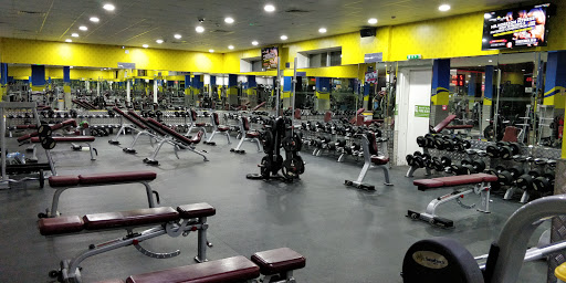 Horizon Fitness Mixed Al Hail South