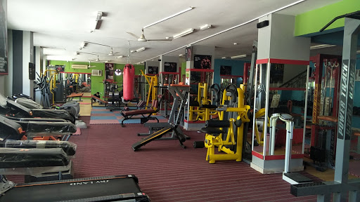 Lifestyle GYM SLL