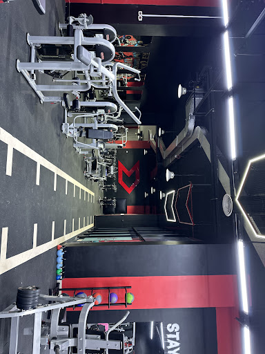 dynamic lady gym