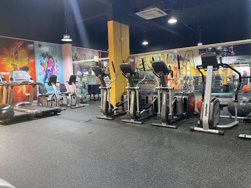 The M GYM