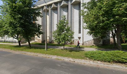 Ladiesfit. Siłownia fitness