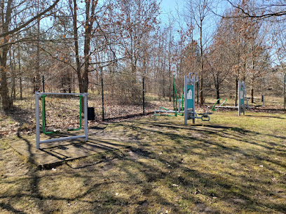 Siłownia plenerowa
