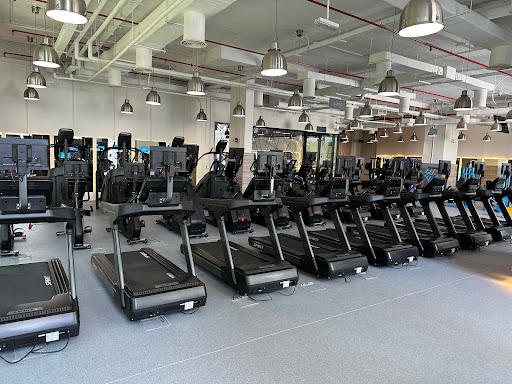 Adrenaline Gym
