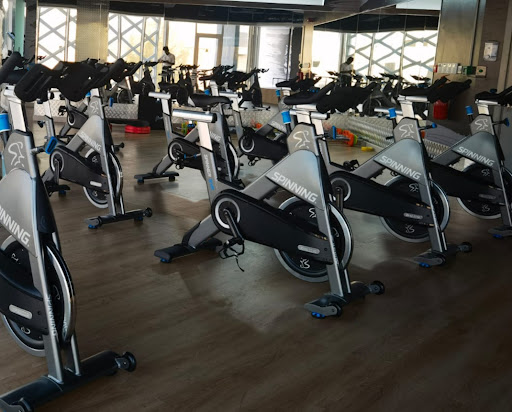 Limitless Gym