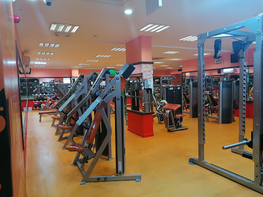 FITNESS EXTREME QATAR