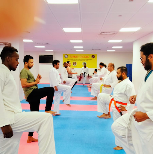 UNITED MARTIAL ARTS ACADEMY INTERNATIONAL