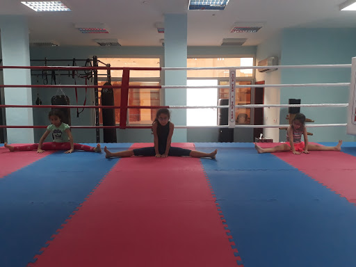 Frank boxing Doha Qatar