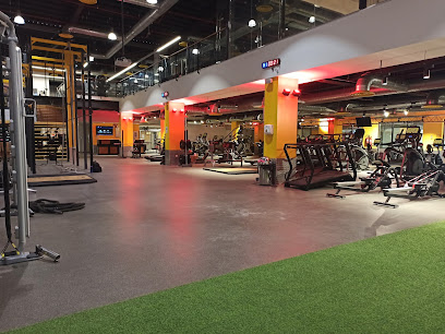 Gold's Gym