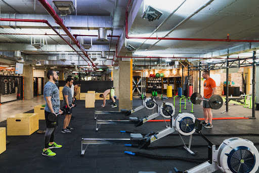 Arena Fitness Innovation Hittin