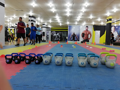 Tiger Gym