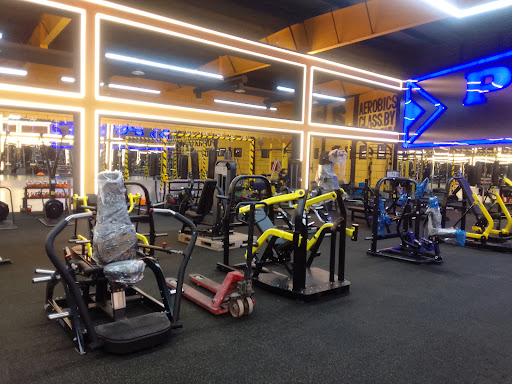 THE POWER GYM