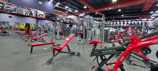 MJ Fitness