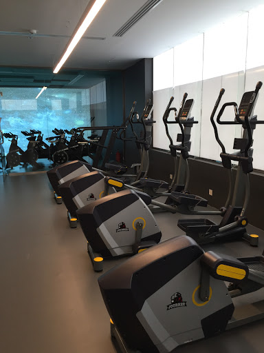 Lioness Fitness Center
