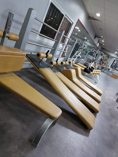 Olympic Gym