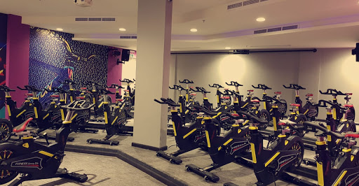 Reflection Fitness Lounge