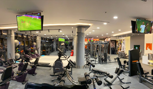 Muscle Gym