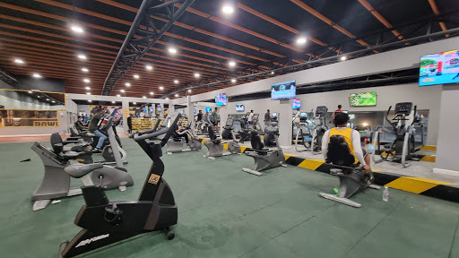 Power Gym