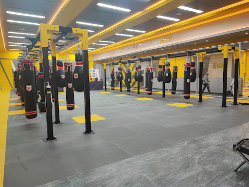 Real Fitness Gym
