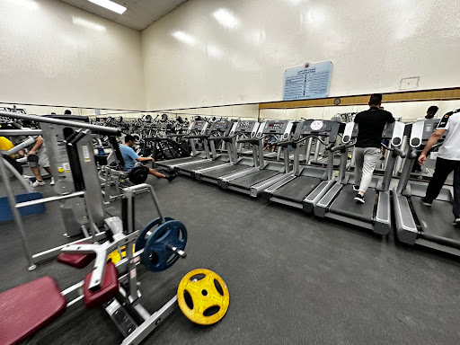 Royal Commission Gym