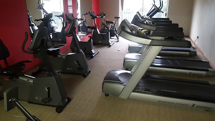 Evolution Fitness