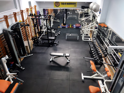 TIGER GYM