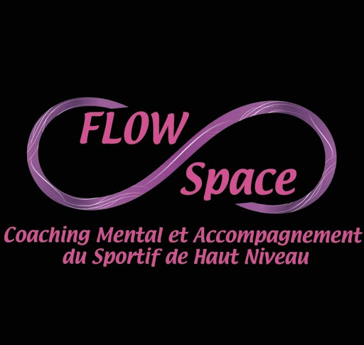 Flow Space