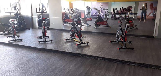Bani gym