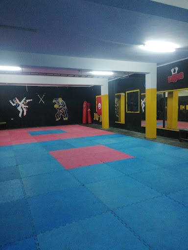 Tanit sportif