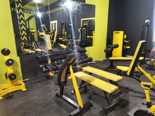 Gold gym elhojjej
