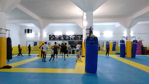 Gladiator gym