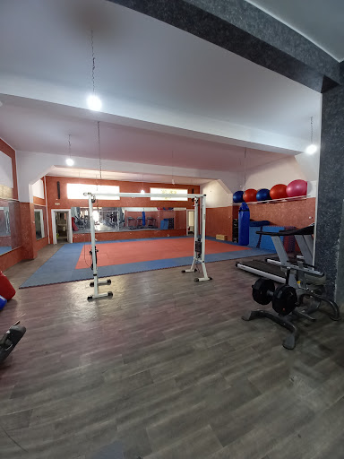 Pro gym