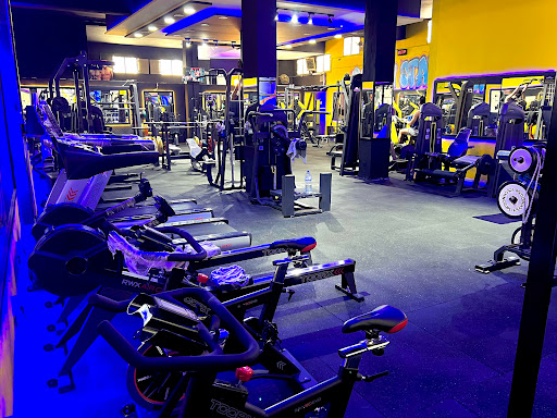 Golden Stars Gym
