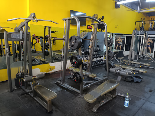 Gladiator Gym