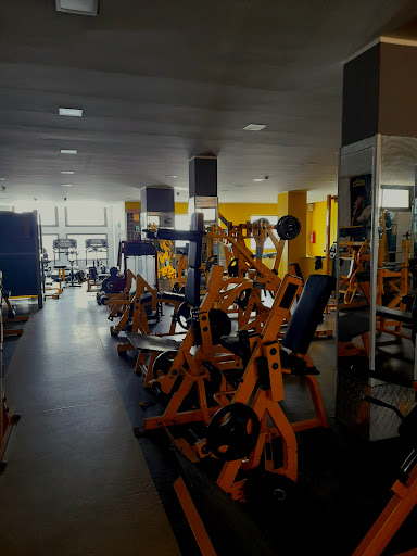 Expert Gym