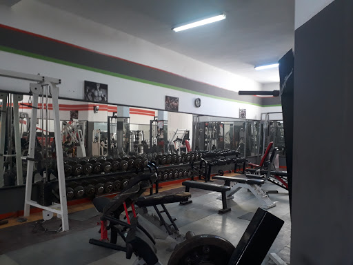 Salle de sport Dali