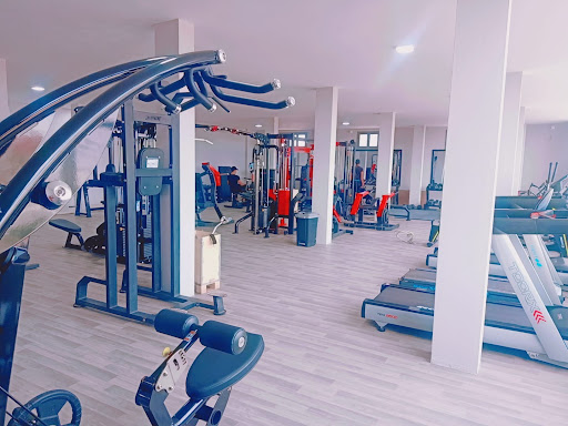 PHENIX SPORT