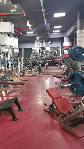 Las Vegas Gym